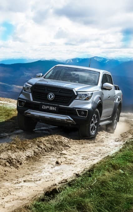 DFSK Pick Up D1